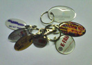 Joseph Technicolour - Badges